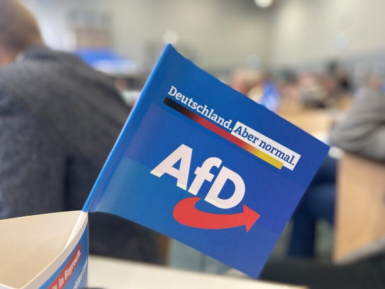 SPD-Innenminister Wilke veröffentlicht Hetzschrift – AfD bleibt bei klarer Linie zur Remigration