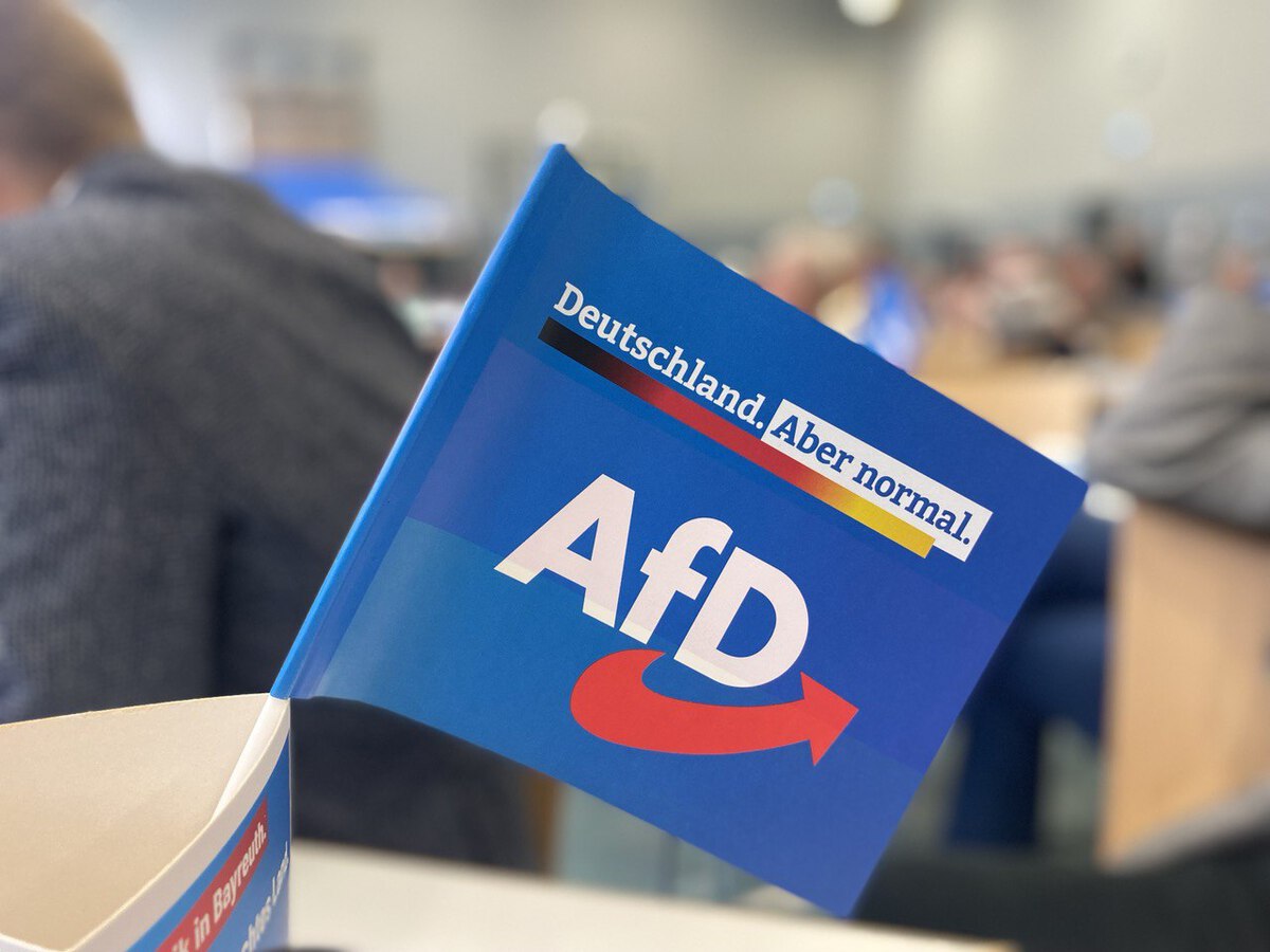 SPD-Innenminister Wilke veröffentlicht Hetzschrift – AfD bleibt bei klarer Linie zur Remigration